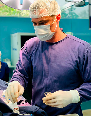 Oncologia Veterinária Nato Vet Center em São Paulo